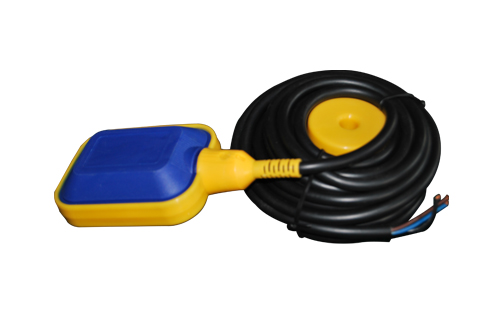 �����_�P